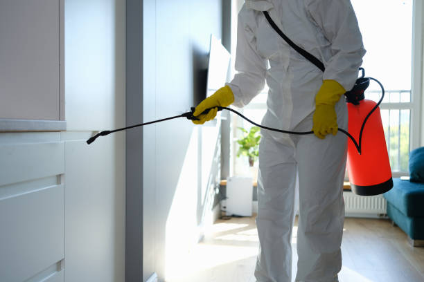 Best Commercial Mold Removal  in Beach City, TX